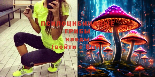 прущая мука Арсеньев