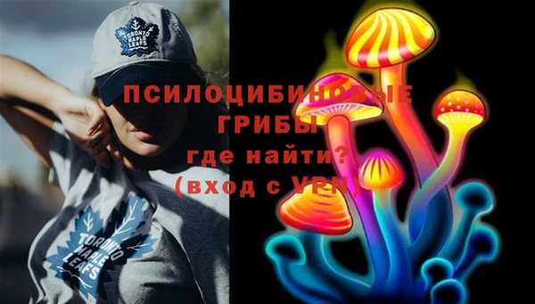 дурь Армянск