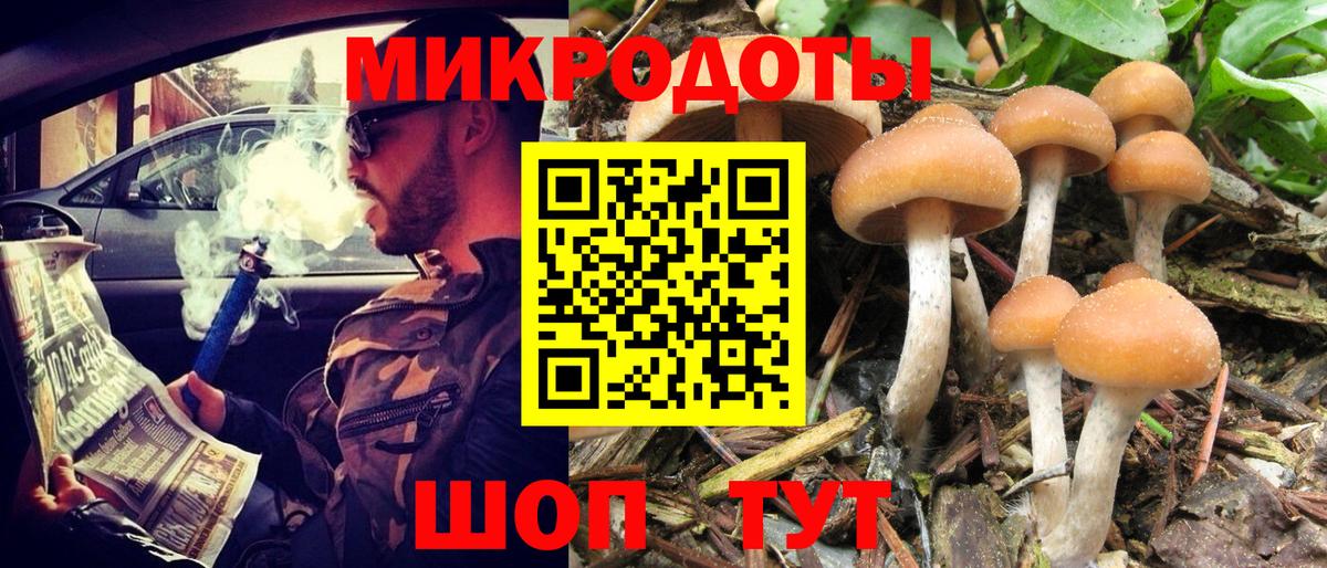 где купить наркоту  Псилоцибиновые грибы мицелий  Псилоцибиновые грибы Cubensis  Вход с VPN  Выборг 