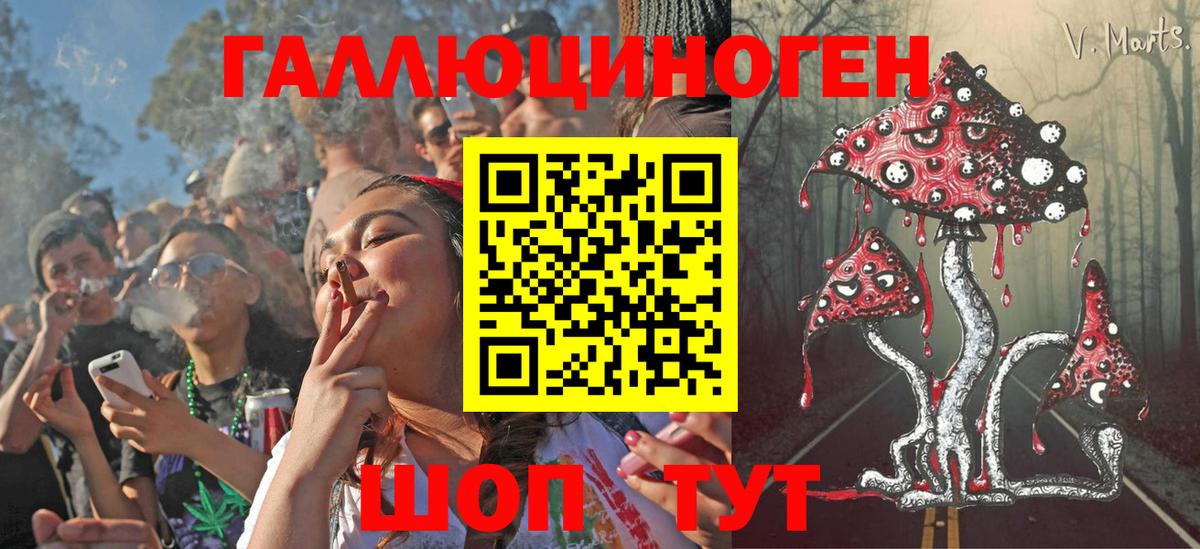Псилоцибиновые грибы Magic Shrooms  Галлюциногенные грибы GOLDEN TEACHER  Выборг 