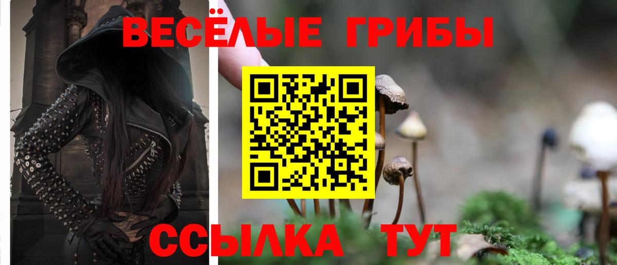 Кокаин Выборг