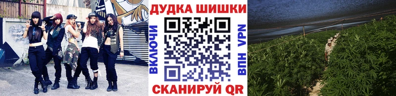 Купить где Выборг Бошки марихуана гибрид